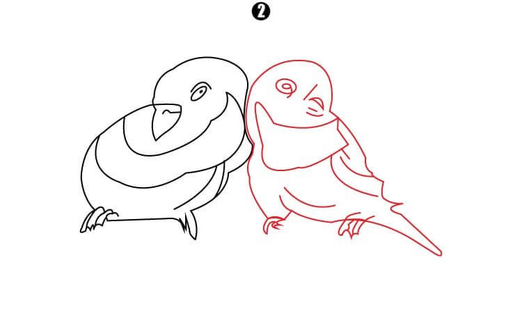 Parrot Couple Drawing step2