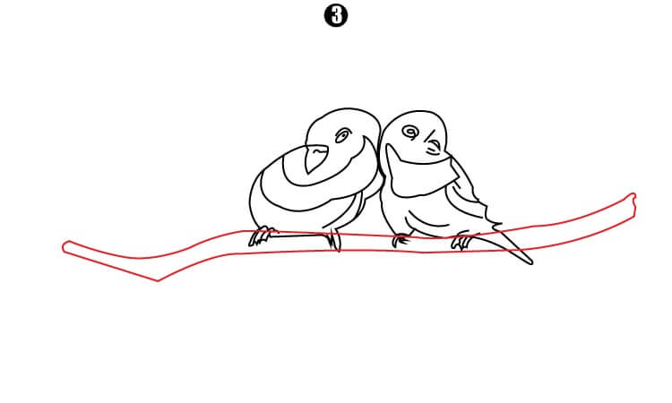 Parrot Couple Drawing step3