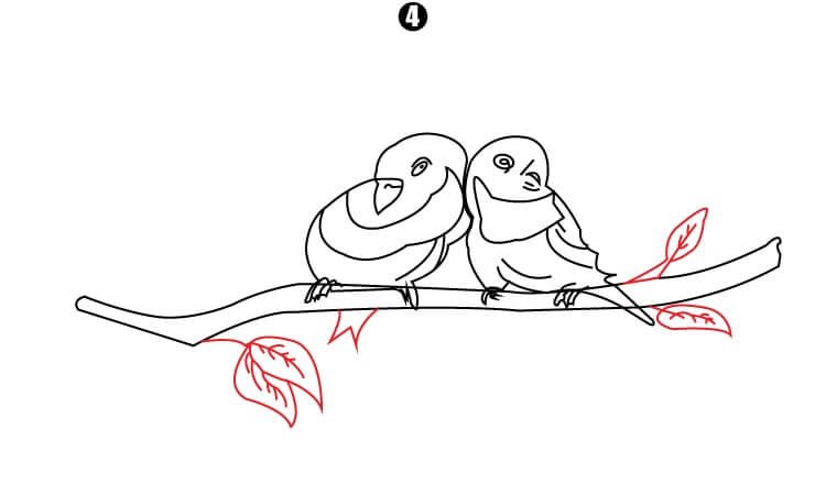 Parrot Couple Drawing step4