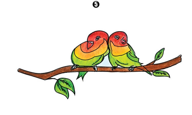 Parrot Couple Drawing step5