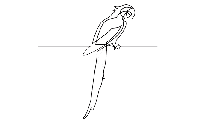 Parrot line Drawing