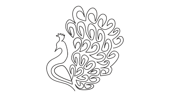 Peacock line Drawing