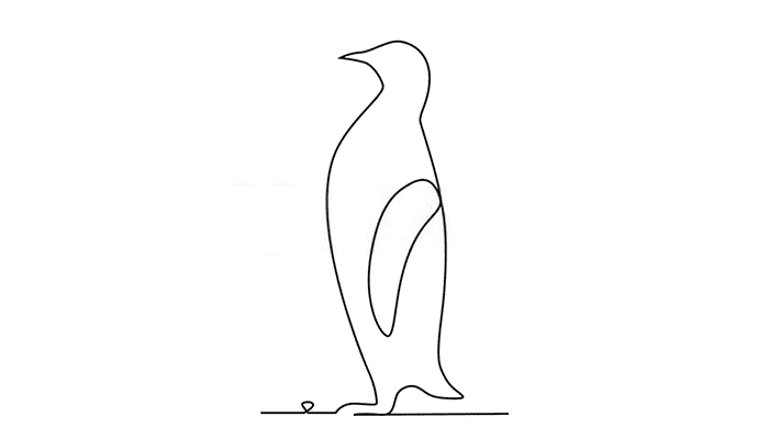 Penguin line Drawing