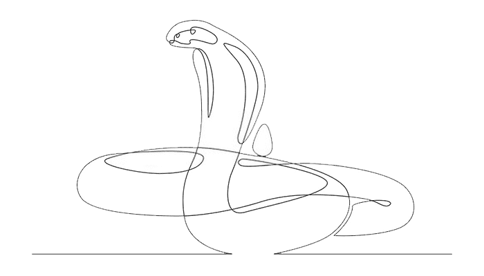 Snake line Drawing
