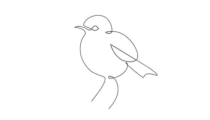 Sparrow line Drawing