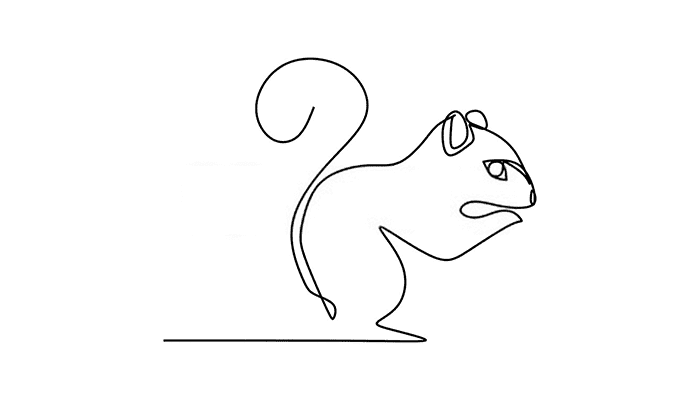 Squirrel line Drawing