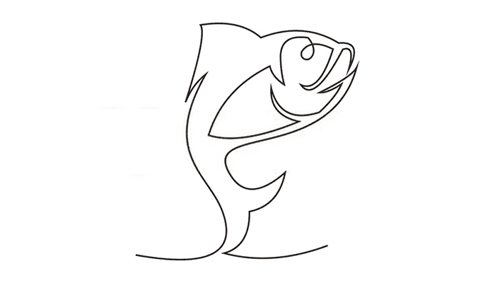 Fish line Drawing