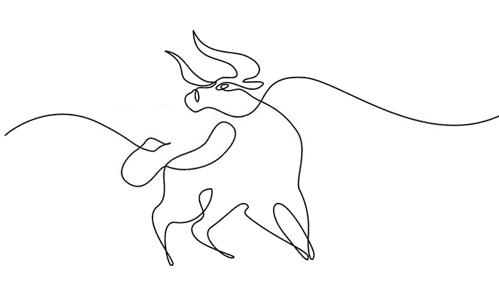 Ox line Drawing