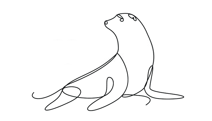 seal line drawing