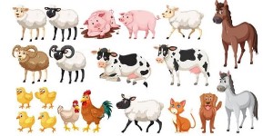 You are currently viewing 34 Animal Cartoon Drawing – For Beginners