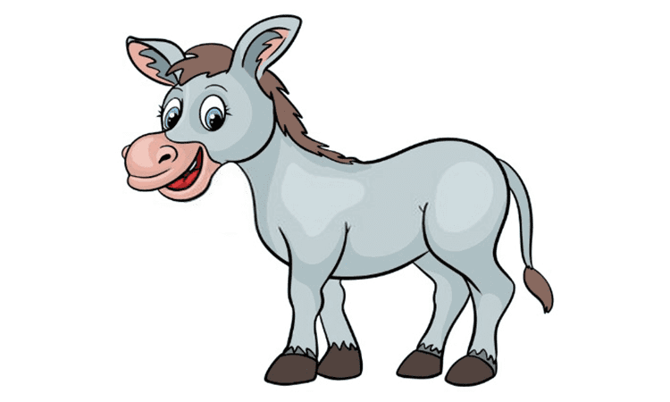 Donkey Cartoon Drawing