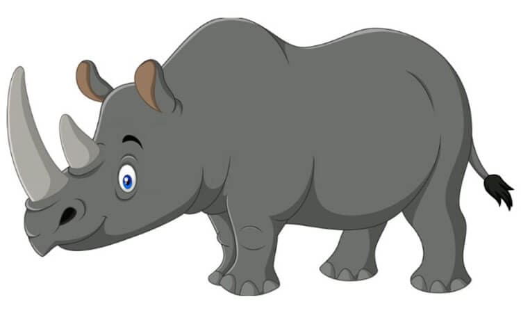 Rhinoceros Cartoon Drawing