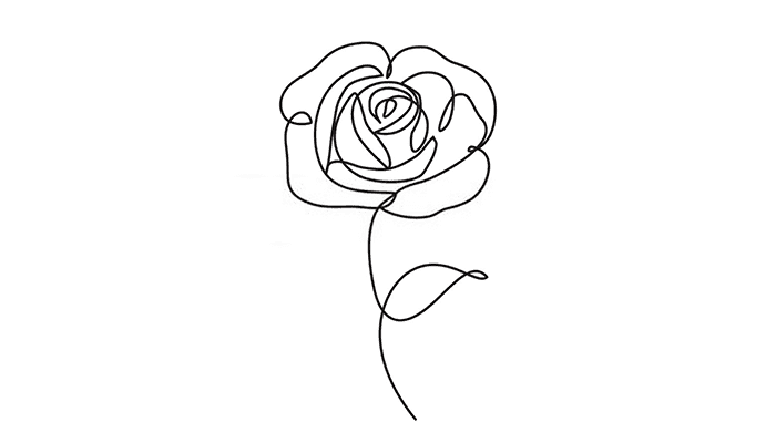 Rose line drawing