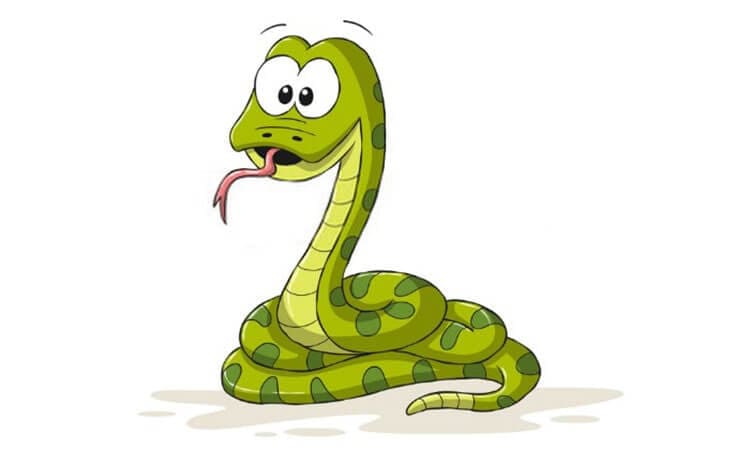 Snake Cartoon Drawing
