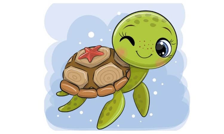 Tortoise Cartoon Drawing