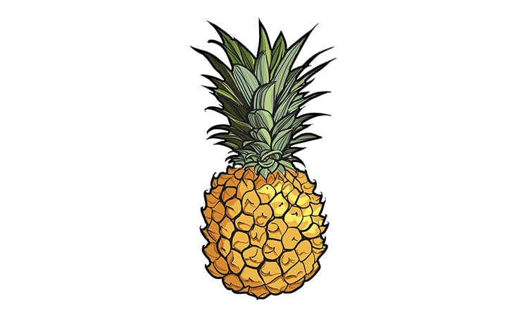 Creative Pineapple Drawing