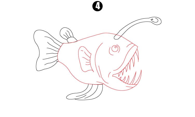 Angler Fish Drawing Step 4