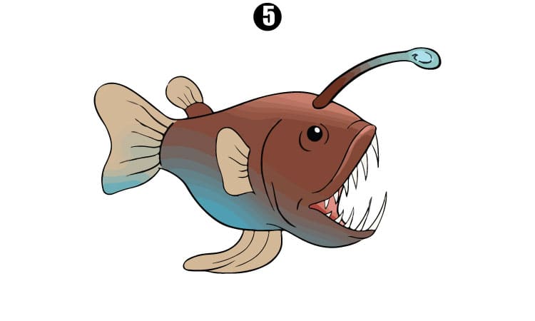 Angler Fish Drawing