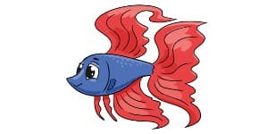 Read more about the article Betta Fish Drawing – Step By Step Tutorial