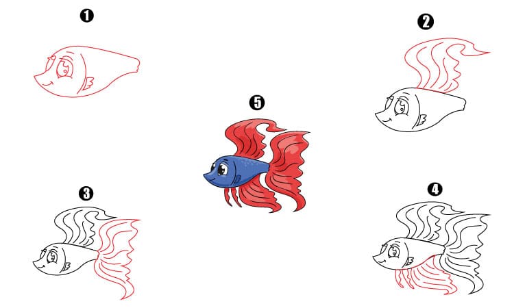 Betta Fish Drawing Step By Step