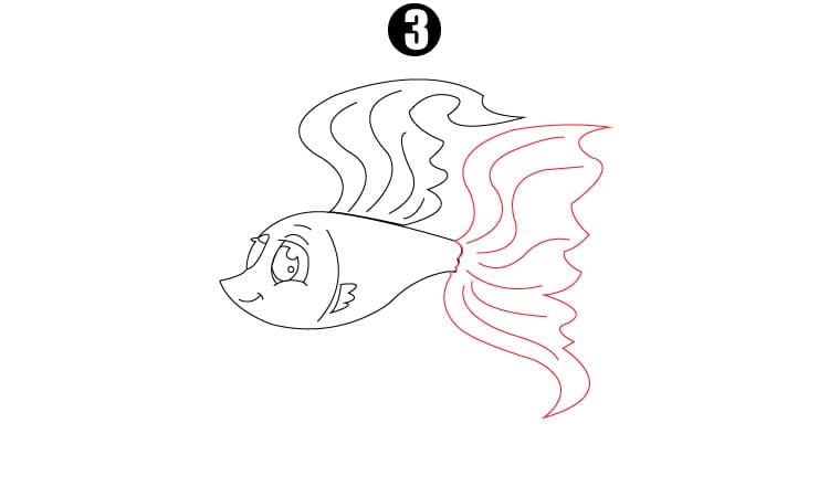 Betta Fish Drawing Step3