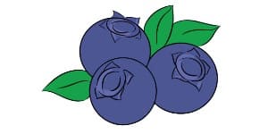 Read more about the article Blueberry Drawing – Step By Step Tutorial