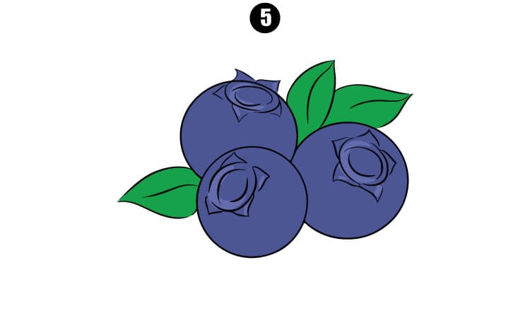 Blueberry Drawing