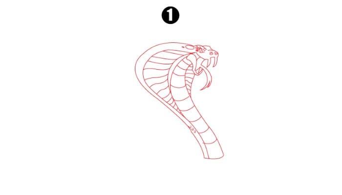 Cobra Drawing Step 1