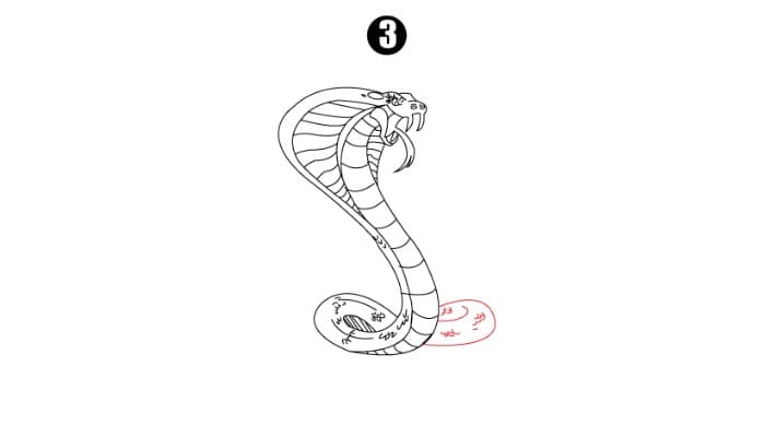 Cobra Drawing Step 3
