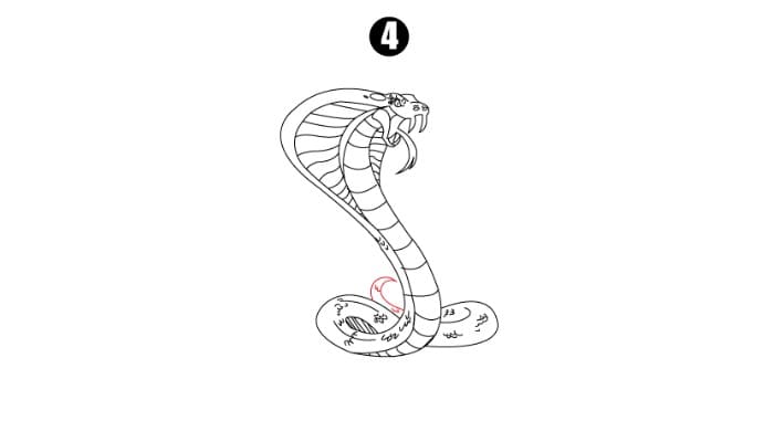 Cobra Drawing Step 4