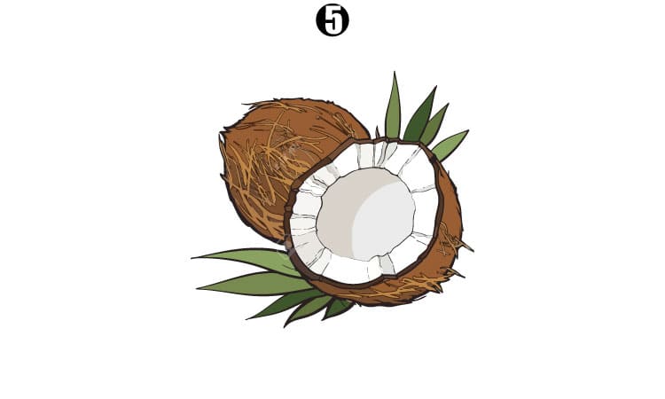 How to draw Coconut - video Dailymotion