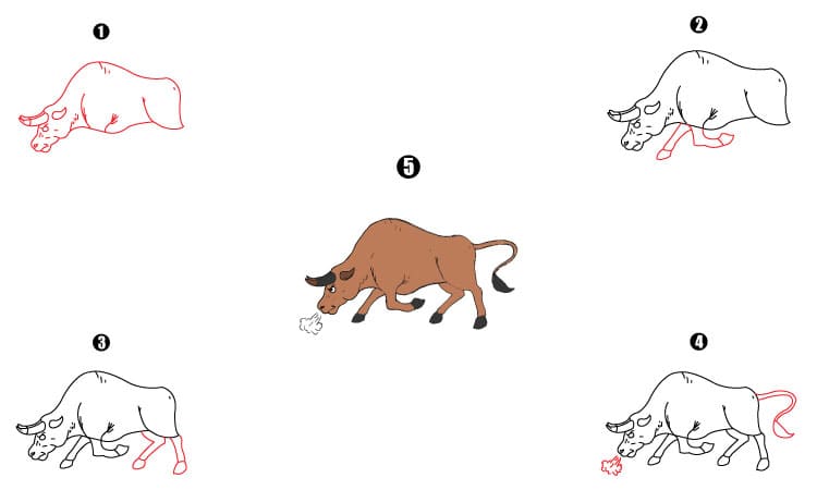 Bull Drawing Step By Step