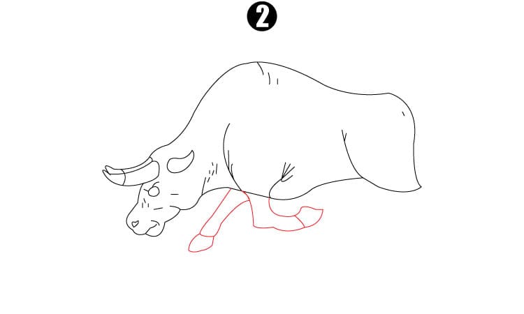 Bull Drawing Step2