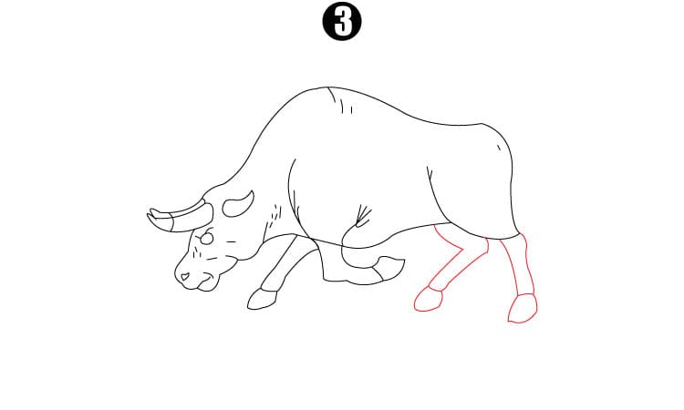Bull Drawing Step3