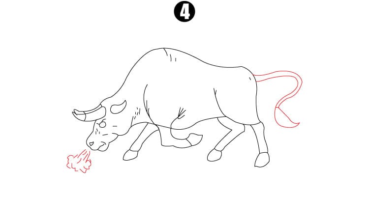 Bull Drawing Step4