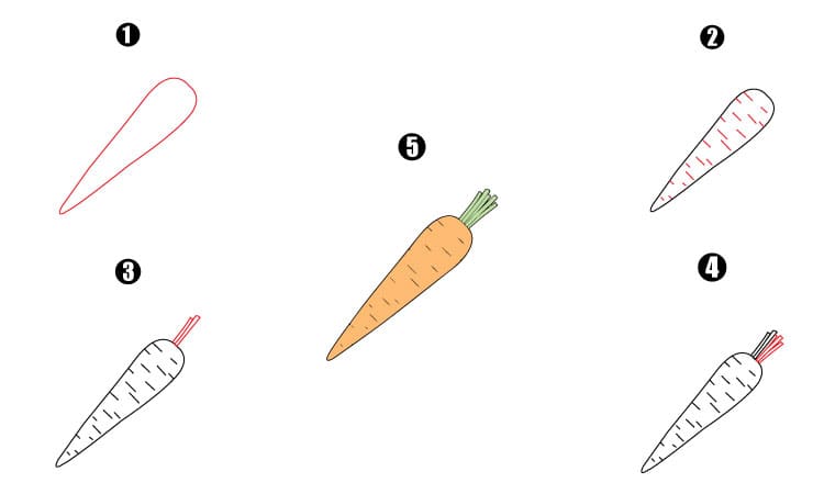 Carrot Drawing Step By Step
