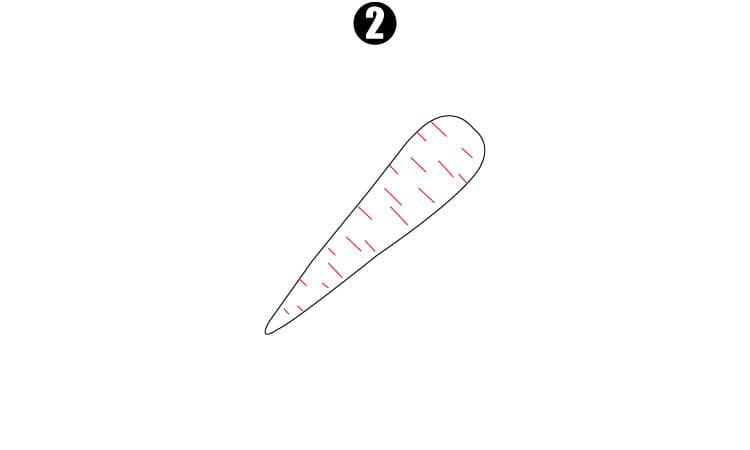 Carrot Drawing Step2