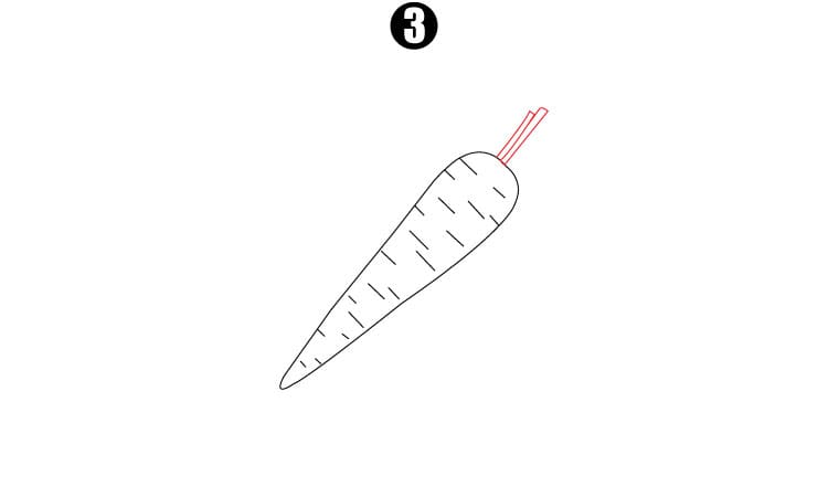Carrot Drawing Step3