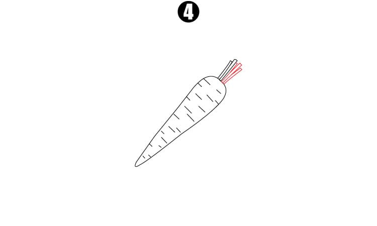 Carrot Drawing Step4
