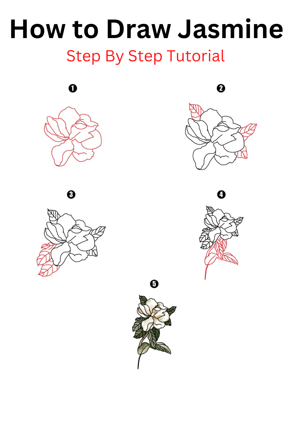 How To Draw A Jasmine Flower Cool