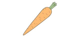 Read more about the article Carrot Drawing – A Step By Step Guide