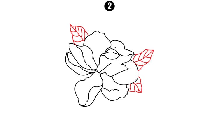 Jasmine Flower Drawing Step2