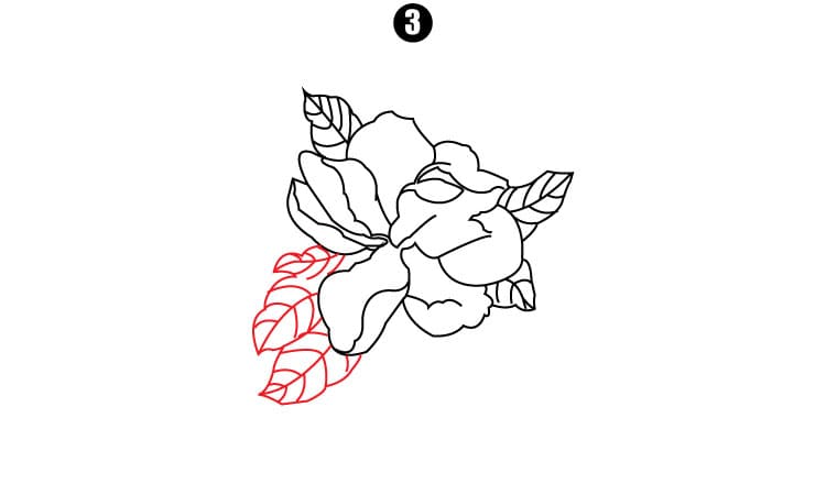 Jasmine Flower Drawing Step3