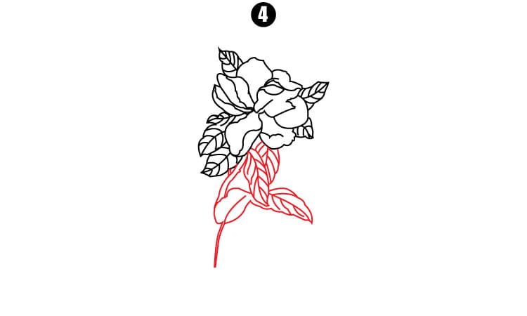 Jasmine Flower Drawing Step4
