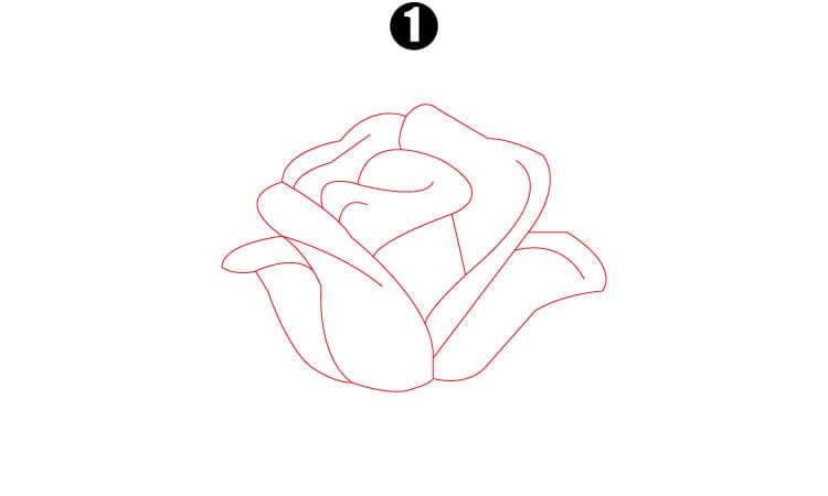 Rose Flower Drawing Step1