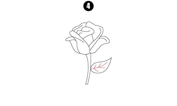 Easy Rose Flower Drawing and Sketch - Take Out Drawing