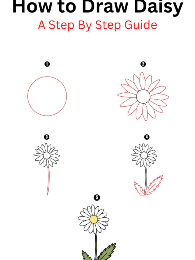 How to Draw Daisy - Cool Drawing Idea