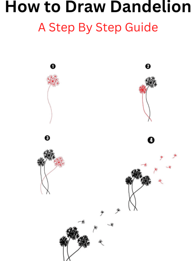 How to Draw Dandelion