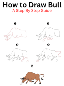 Read more about the article How to Draw Bull