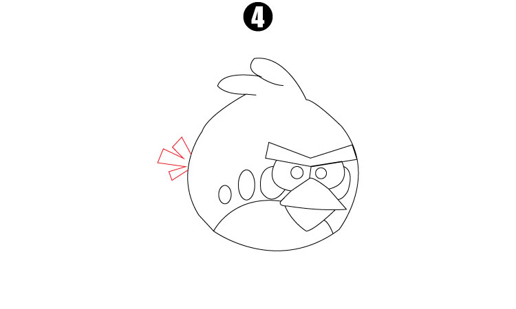 Angry Bird Drawing Step4